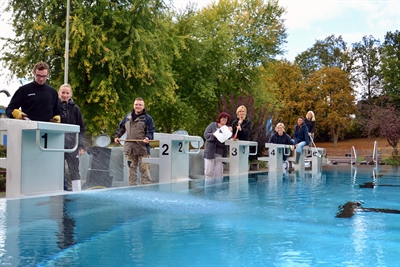 Großreinemachen im Freibad am Damm