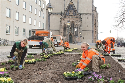 Start für Frühjahrsbepflanzung am Alten Rathaus