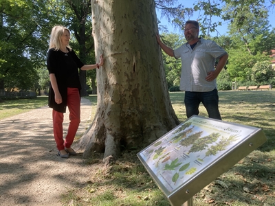 Quiztafeln in Sudenburg übergeben