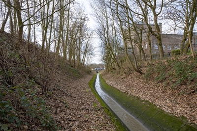 Wattenscheider Bach in Gelsenkirchen-Ückendorf