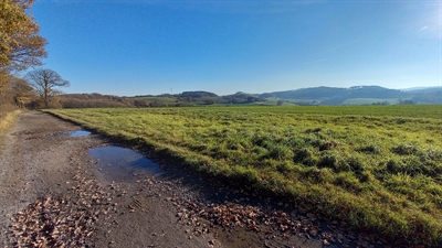 Der Naturpark Sauerland Rothaargebirge lädt am 30 Januar zu einer geführten Wanderung durch die Laubwälder des Natur- und Vogelschutzgebiets Luerwald in Menden ein. Foto: Rothhöftim  am 30. Januar.