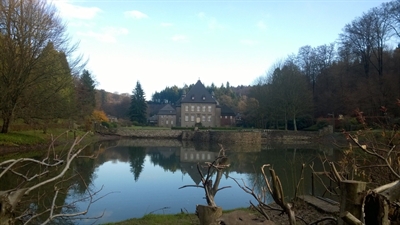 Der Naturpark Sauerland Rothaargebirge lädt zu einer Fitnesswanderung nahe Schloß Neuenhof in Lüdenscheid ein. Foto: Alexander Neumann