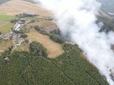 Waldbrand am Hegenscheid