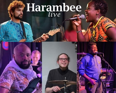 Fest der Kulturen - Amandla Harambee Live