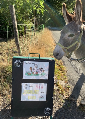 Eselwanderung: Pause am Milchhäusle