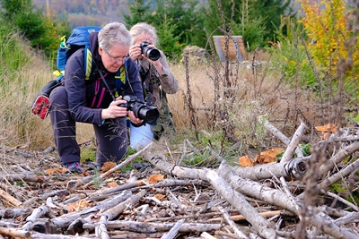 Mit der Makrofunktion der Kamera oder dem Smartphone geht es auf Entdeckungsreise zwischen dem Sauerland und dem Bergischen Land. Foto: Guido Bloch