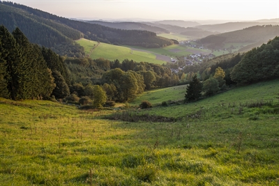 Bild Waldwiesental – eine typische Landschaft im Naturpark Sauerland Rothaargebirge. © Klaus-Peter Kappest, Touristikverband Siegerland-Wittgenstein e.V.