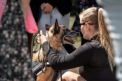 Zukunftswerkstatt_Polizeihund