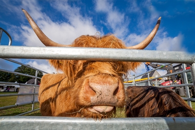 Der Montag startet mit der beliebten Tierschau. Copyright Stefan Schmitt 