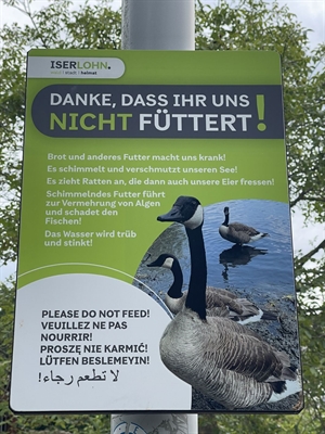 Gänse am Seilersee_Hinweisschilder