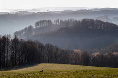 Sonnenaufgang über dem Lennetal: Der Naturparkführer und Fotograf Guido Bloch nimmt Interessierte und Hobbyfotografen mit auf eine Foto-Tour. Foto Guido Bloch