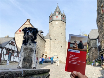 Bei der kostenlosen Eröffnungsfeier neuen Sonderausstellung auf Burg Altena führt die Hundeschule A-Ha! aus Halver Parcoursarbeit mit den Vierbeinern vor. Interessierte sind herzlich eingeladen. Foto: Hannah Heyn/ Märkischer Kreis