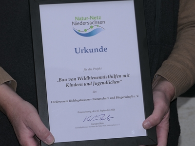 Urkunde Wildbienennisthilfe