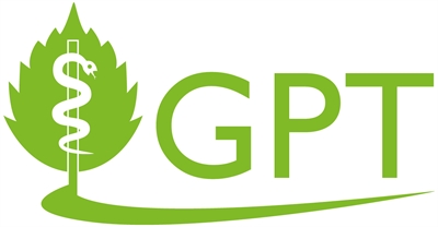 LOGO GPT